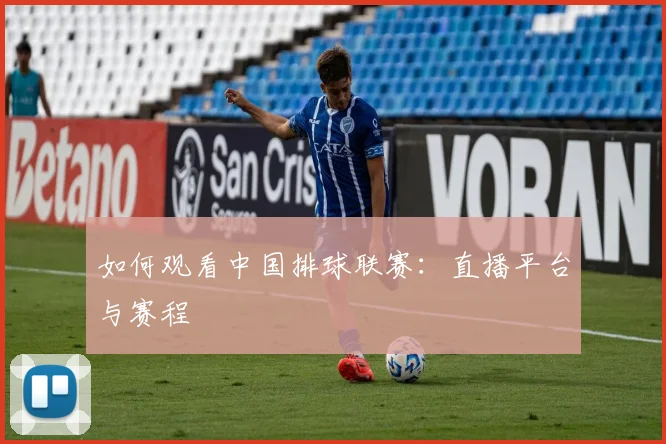 如何观看中国排球联赛:直播平台与赛程