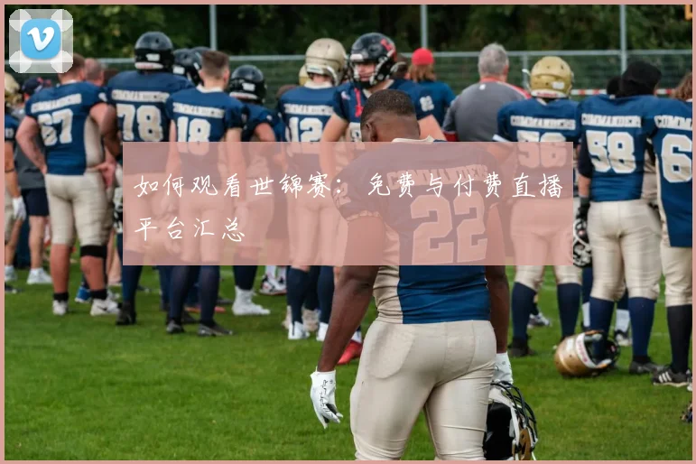 如何观看世锦赛：免费与付费直播平台汇总